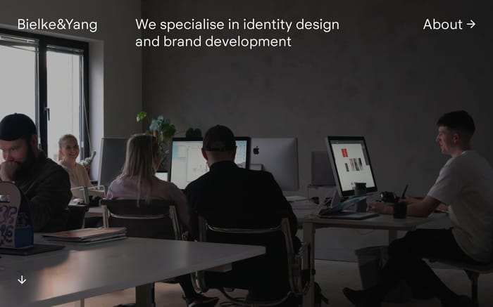 Bielke&Yang website preview