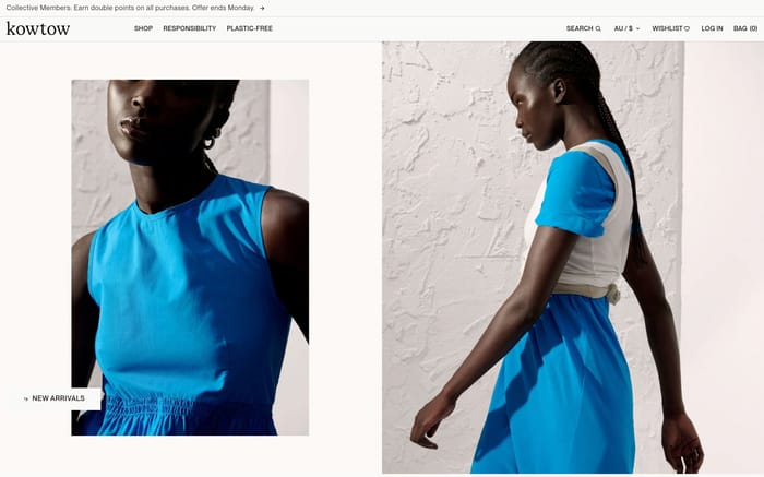 Kowtow website preview