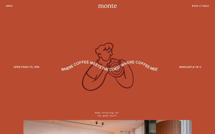 Monte website preview