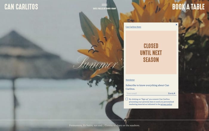 Can Carlitos website preview