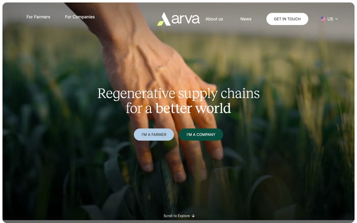 Arva website preview