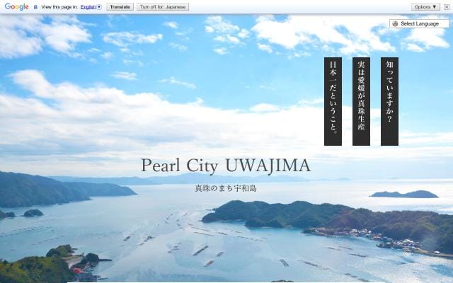 I-pearl website preview