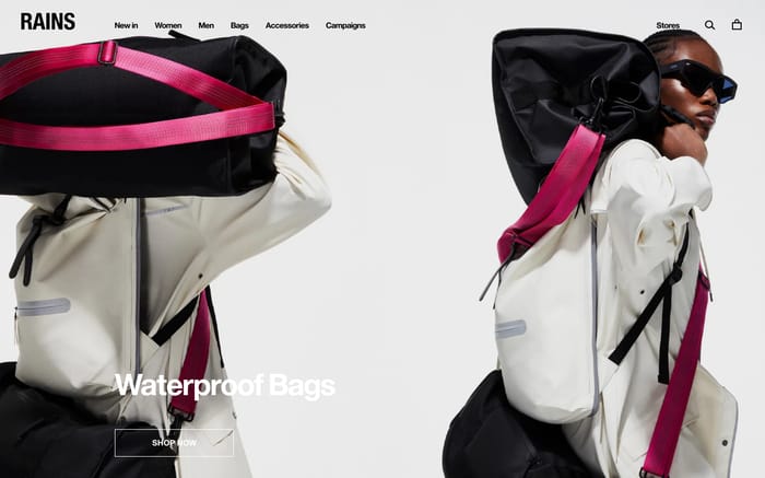 Rains website preview
