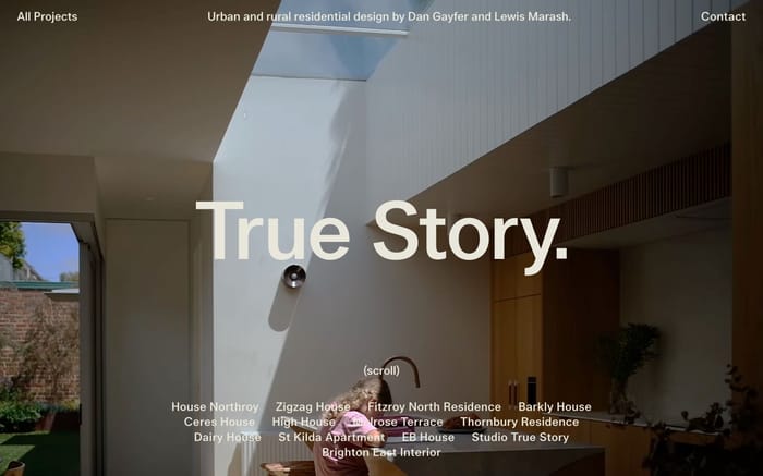 True Story website preview
