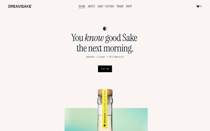 Dreamsake website preview
