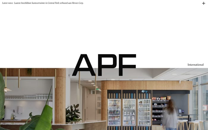 APF International website preview