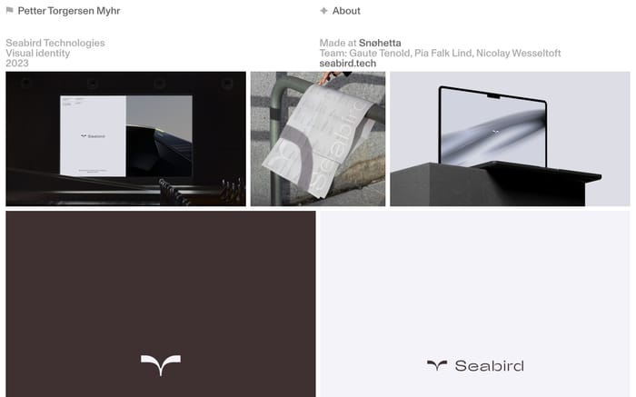 Petter Torgersen Myhr website preview