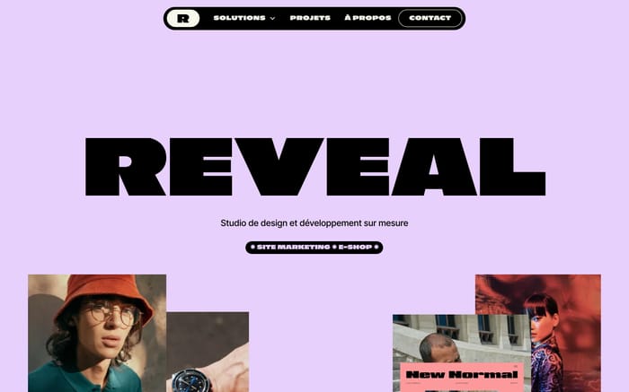 Reveal Studio website preview