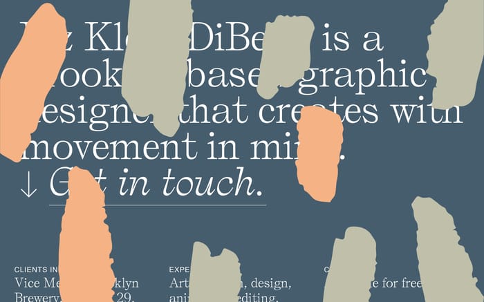 Liz Klein DiBello website preview
