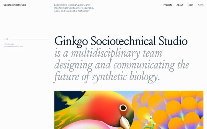 Ginkgo Sociotechnical Studio website preview