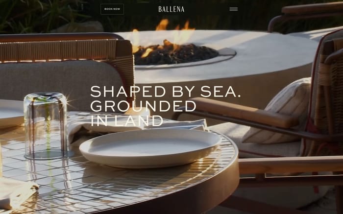 Ballena website preview