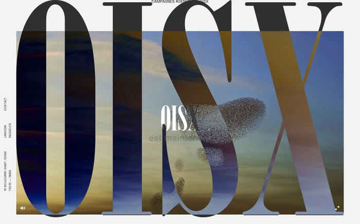 oisx website preview