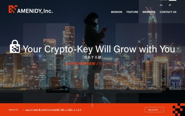 Amenidy website preview