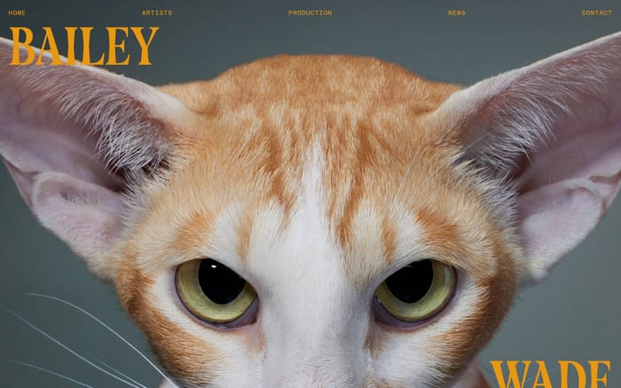 Bailey Wade website preview