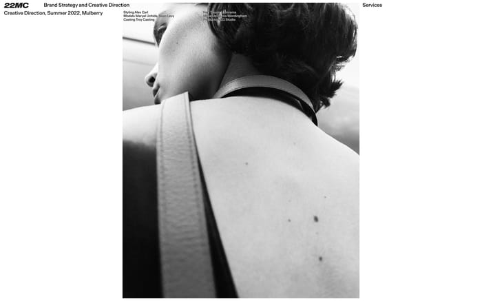 22MC website preview