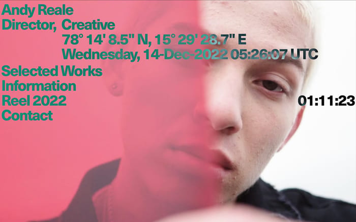 Andy Reale website preview