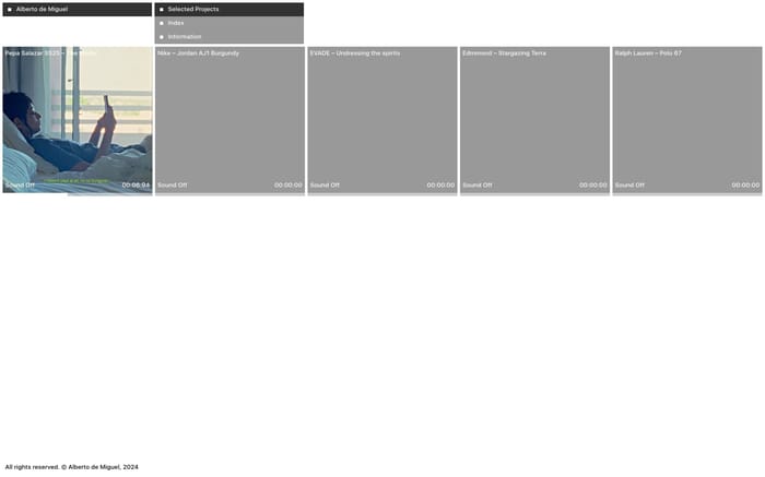 Alberto de Miguel website preview