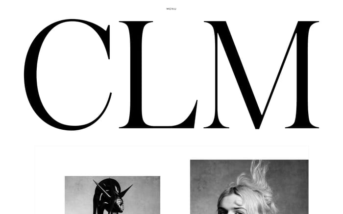 CLM website preview
