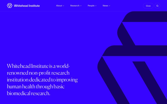 Whitehead Institute website preview