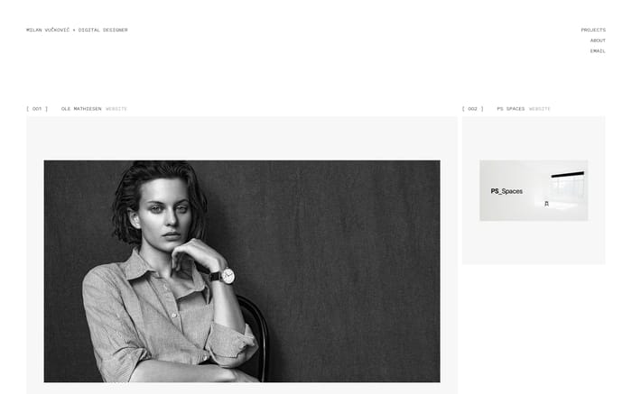 Milan Vučković website preview