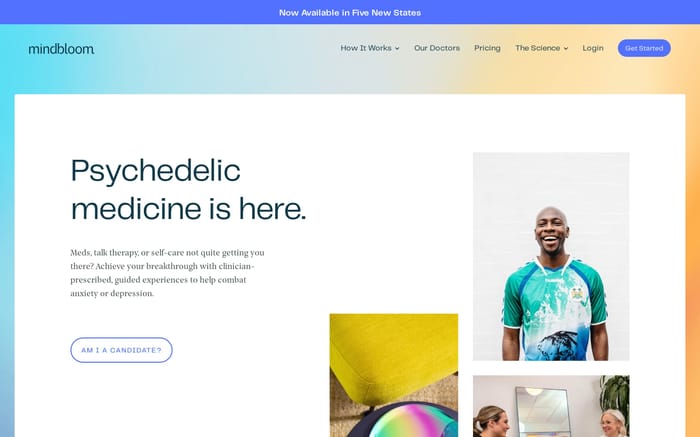 Mindbloom website preview