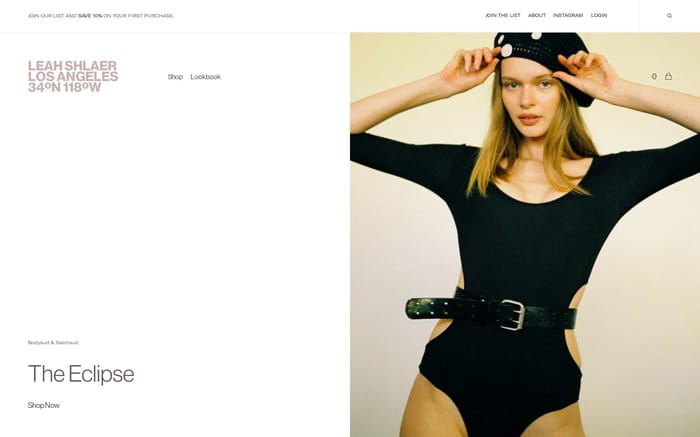 Leah Shlaer website preview