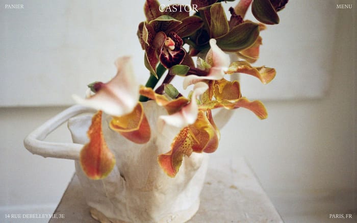 Castor Fleuriste website preview