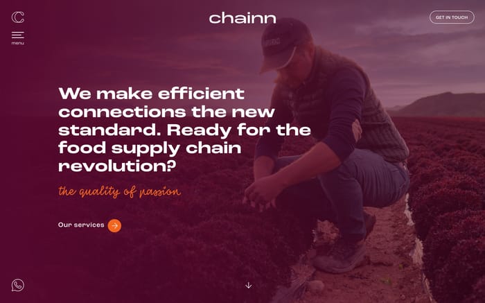 Chainn website preview
