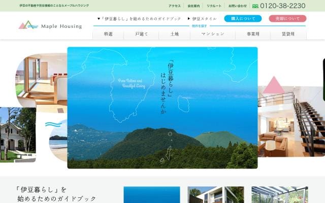 Maple-h website preview