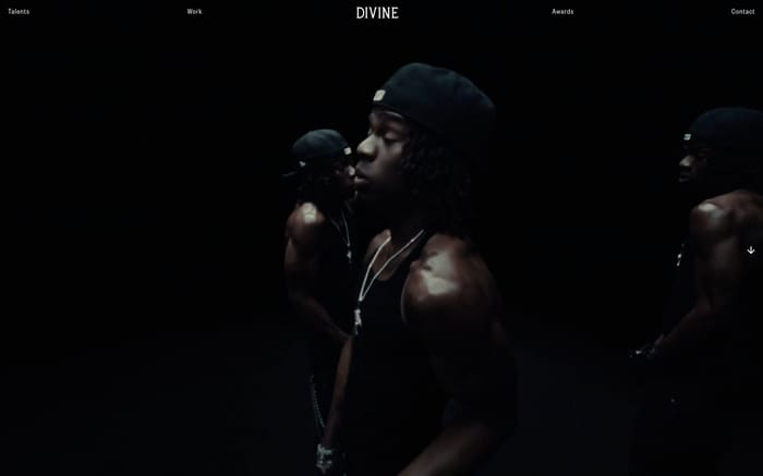 Divine website preview