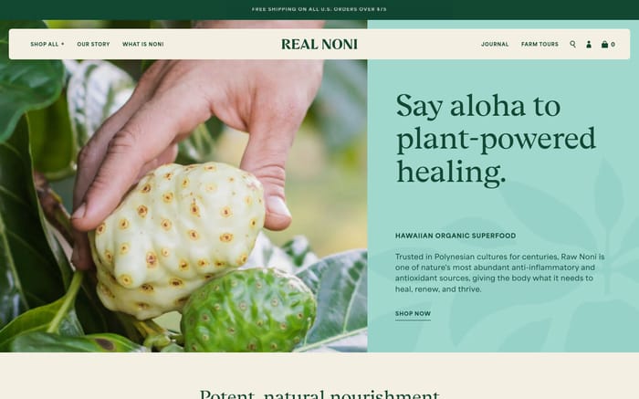 Real Noni website preview
