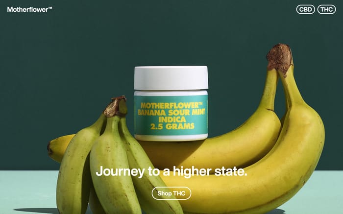 Motherflower website preview