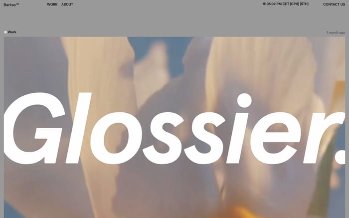 Barkas website preview