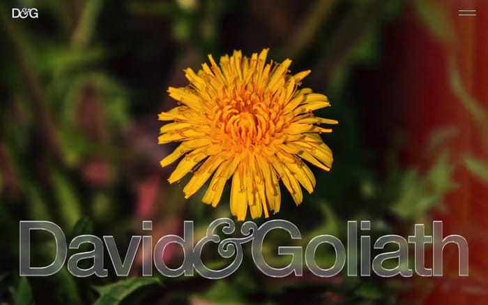 David & Goliath website preview