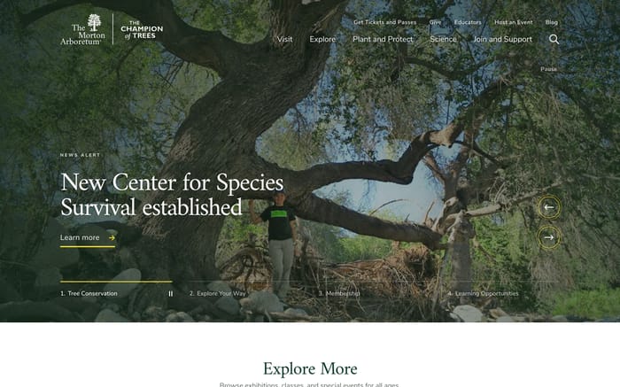 The Morton Arboretum website preview