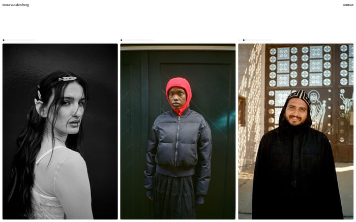 Tessa Van Den Berg website preview
