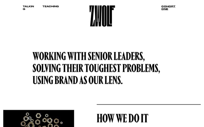zwolf strategy website preview