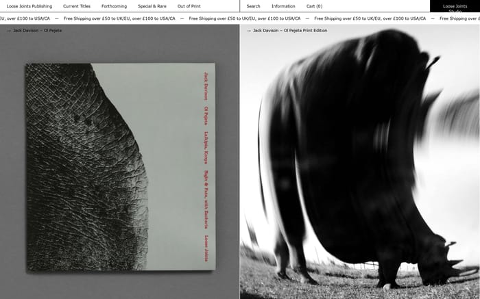 Loose Joints Publishing website preview