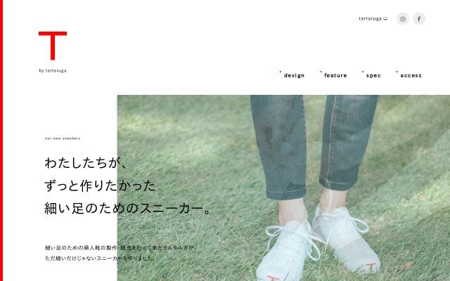 Tartaruga website preview