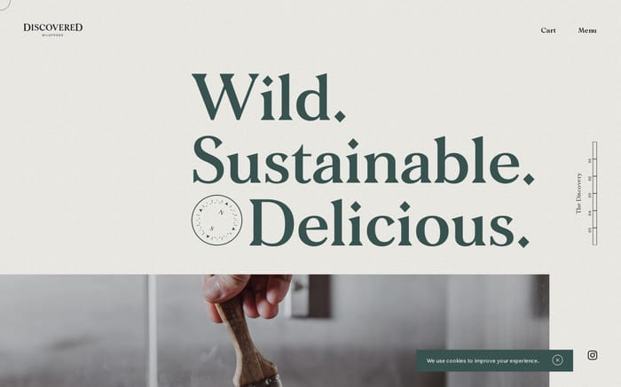Discovered Wildfoods website preview