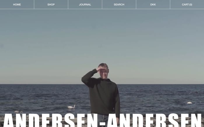 Andersen-Andersen website preview