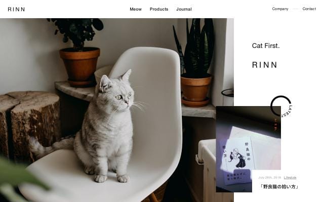 Co website preview
