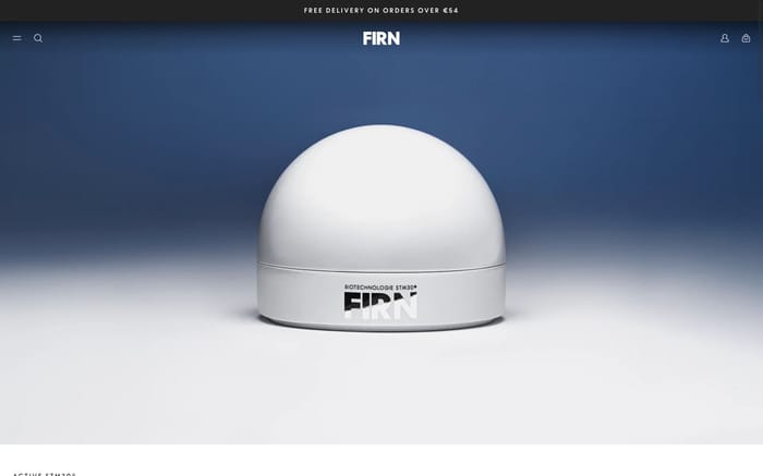 Firn website preview