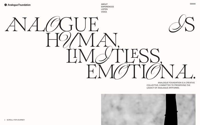Analogue Foundation website preview