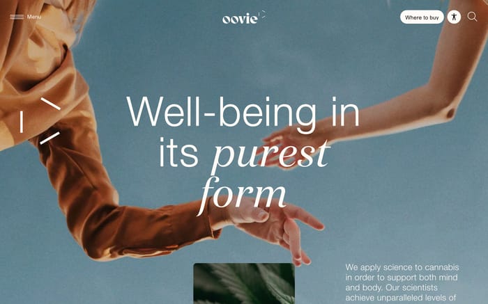 Oovie website preview