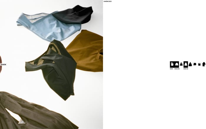Kaiem website preview