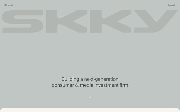 Skky website preview