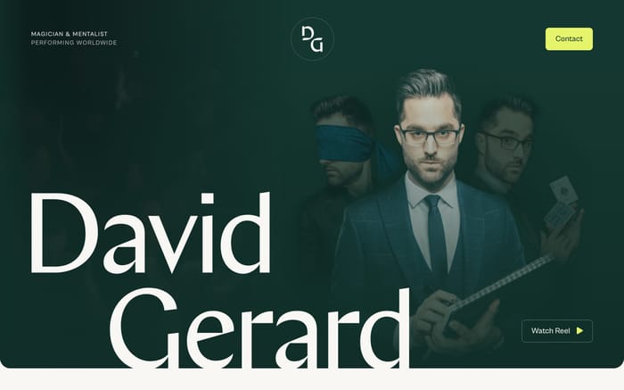 David Gerard website preview