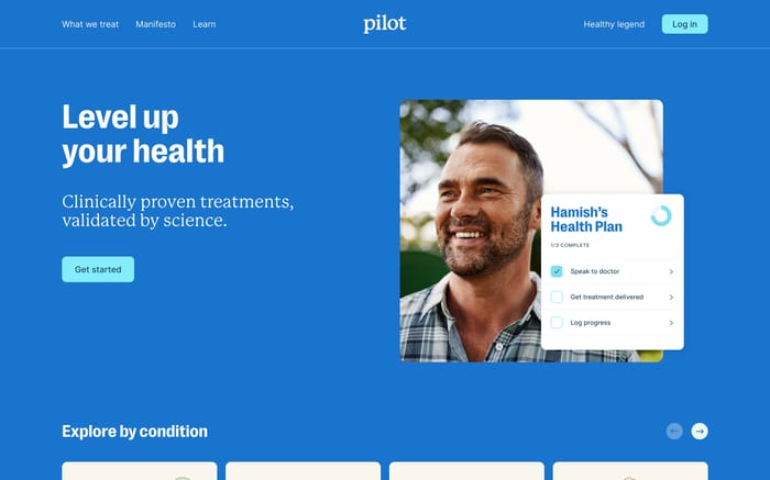 Pilot website preview