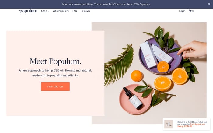 Populum website preview
